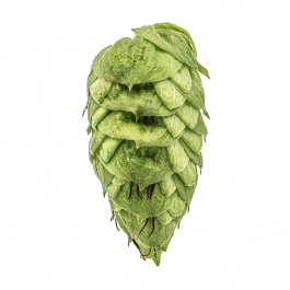 Millennium lúpulo en pellets 2 oz (56 gr) 16.6% AA