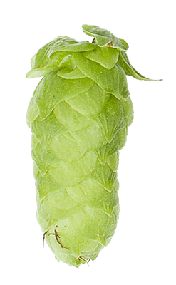 Mandarina Bavaria lúpulo en pellets 2 oz (56 gr)