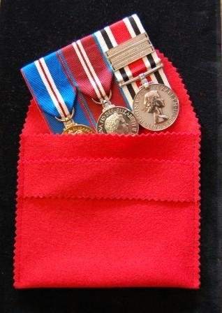Full-size medal storage pouch (prices from)