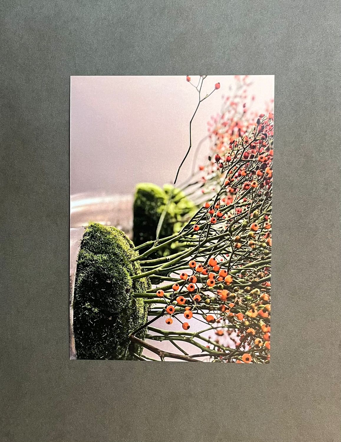 Postkarte Hagebutte mit Couvert