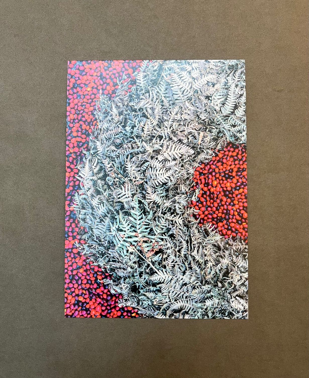 Postkarte Farn mit Couvert