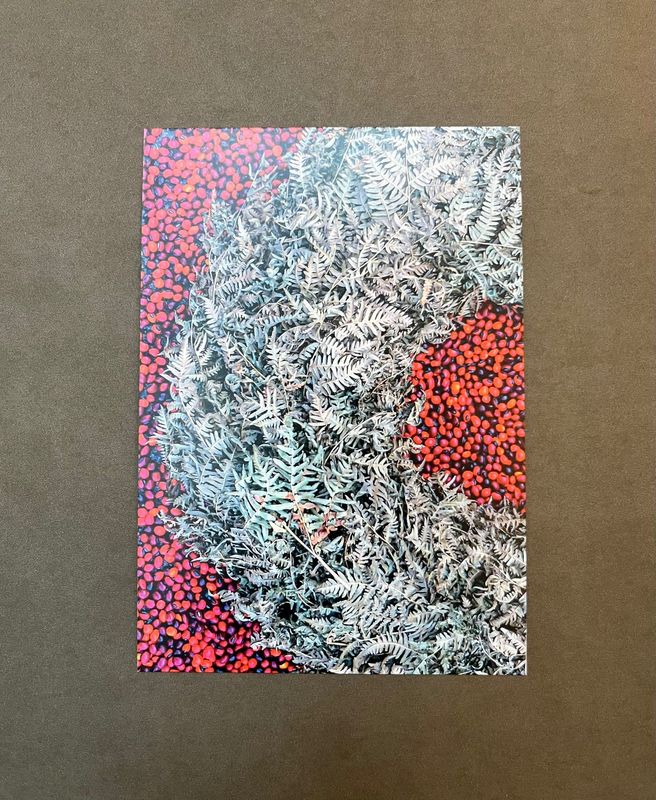 Postkarte Farn mit Couvert