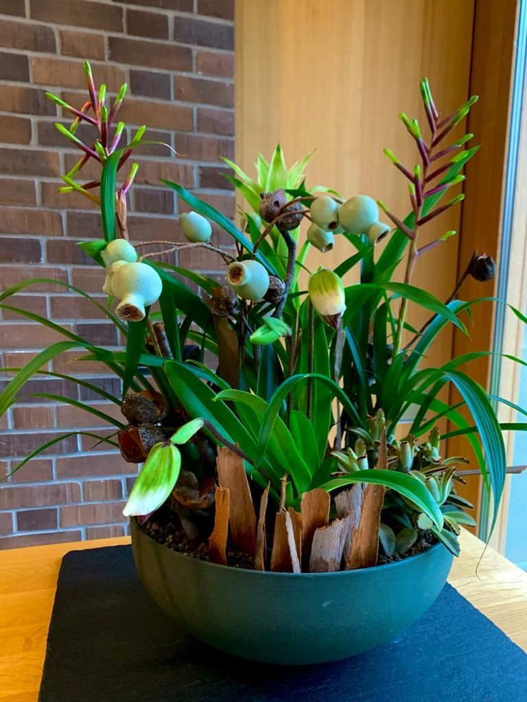 Bepflanzung mit Frauenschuh Orchidee