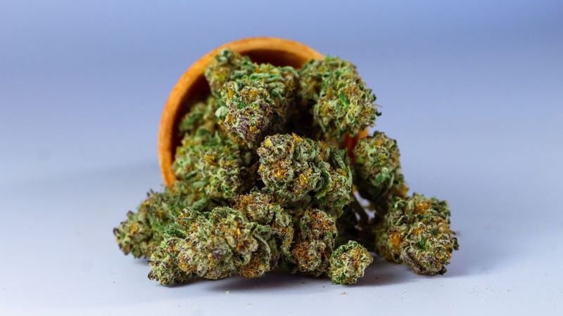 Cannabinoids for Pain Relief