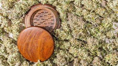 How to Use a Grinder