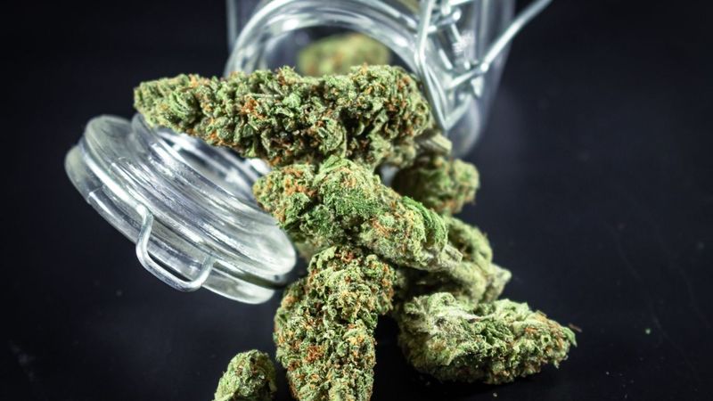 How to choose a strain