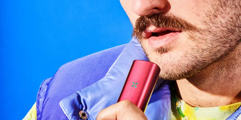 What exactly is a dry herb vaporizer?