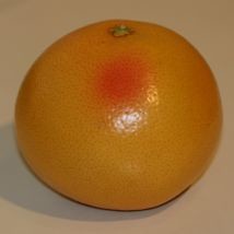 Pamplemousse  (hydrolat)