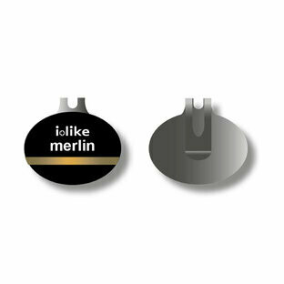 Merlin converter
