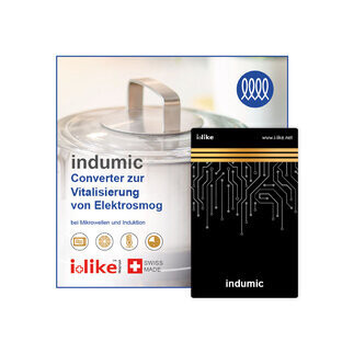 InduMic converter