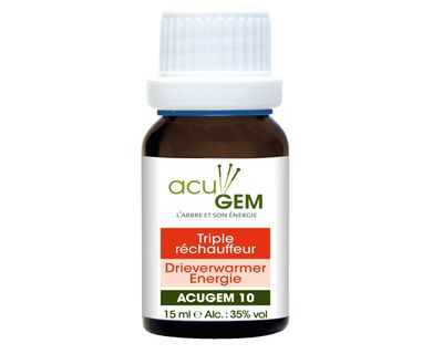 ACUGEM no 10 - Meridien du triple rechauffeur