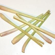 Citronnelle de Ceylan