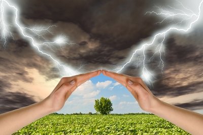 Protection et vitalisation