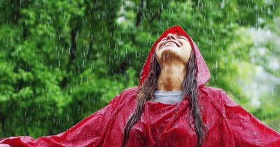 Purification