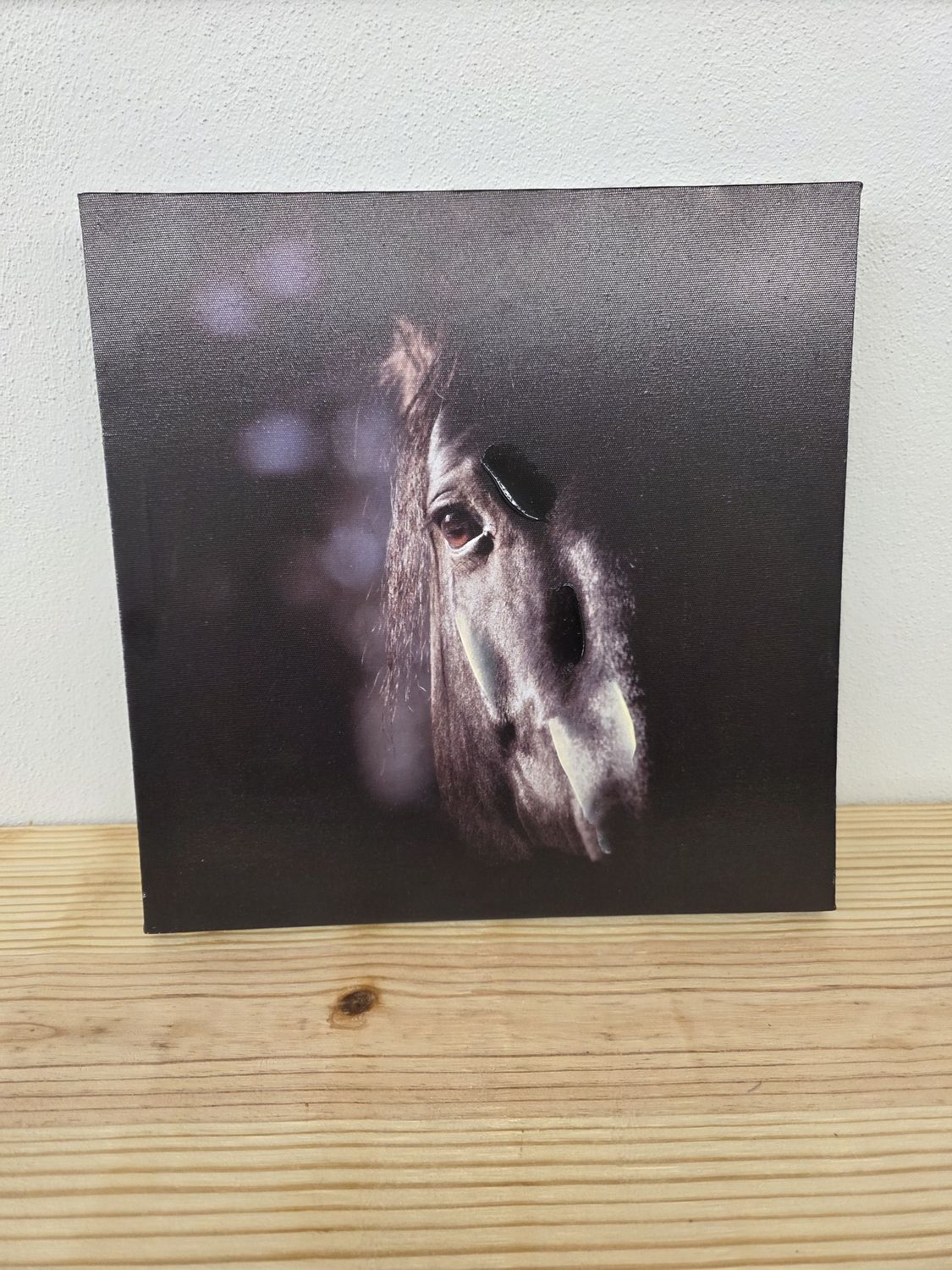 Wall Art- Painted Horse