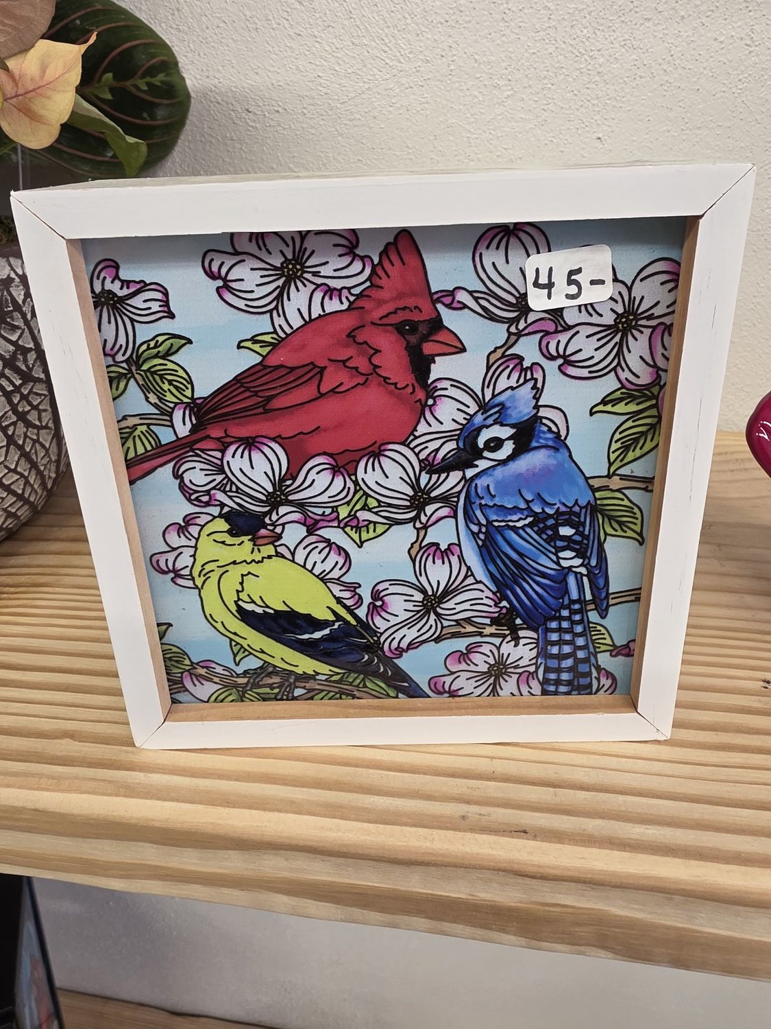 Light box ($45) Cardinal 