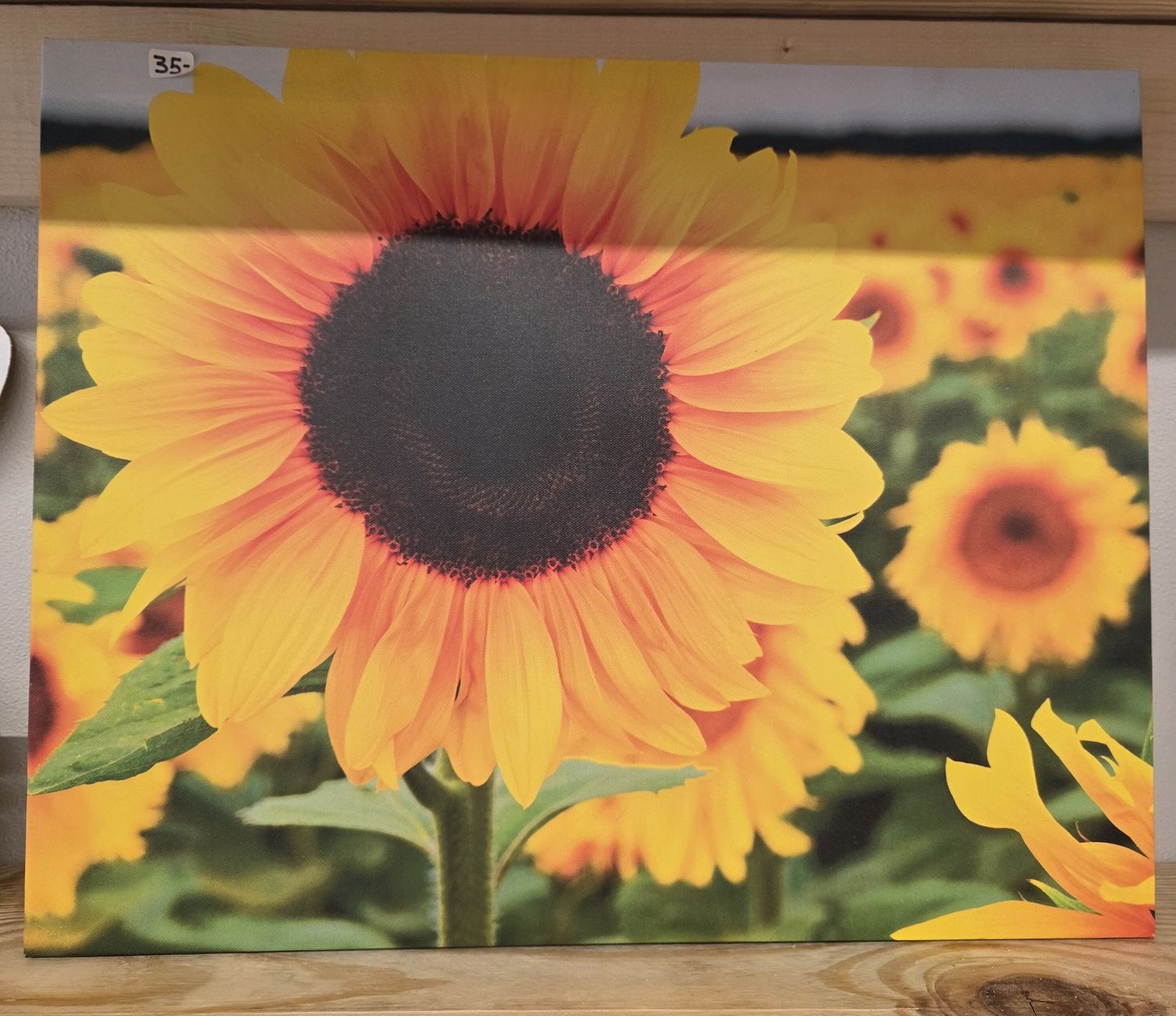 Wall Art (Sunflowers)
