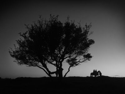 Tuatha De Dannon, Tribe of the Gods