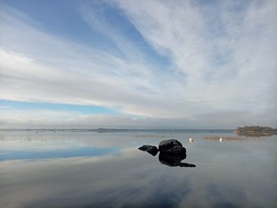 Zazen, Finding Stillness.