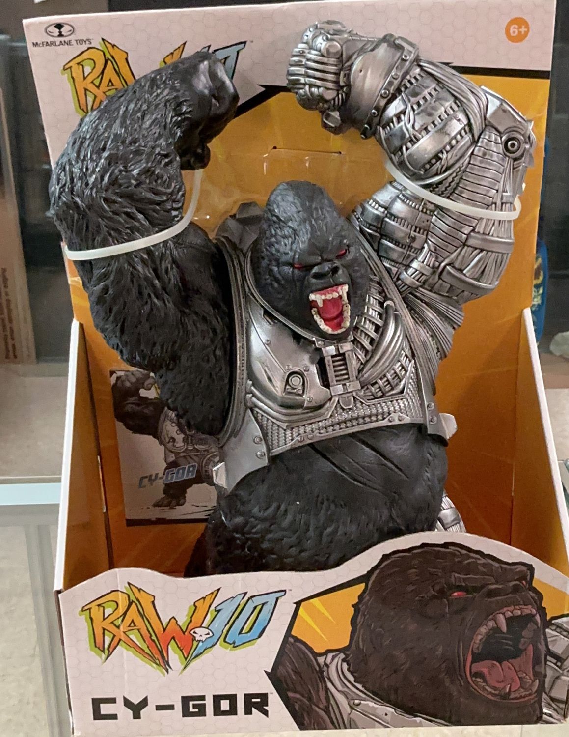 Cy-Gor Raw 10