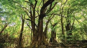 Nature &amp; Wildlife Parks