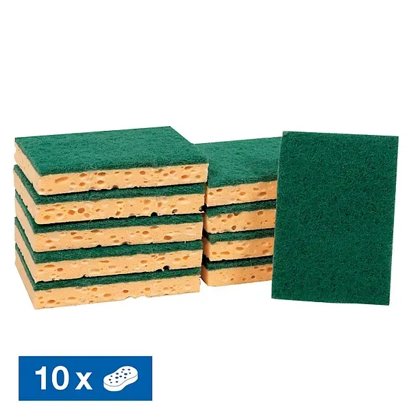 Tamponges professionnelles  Lot de 10