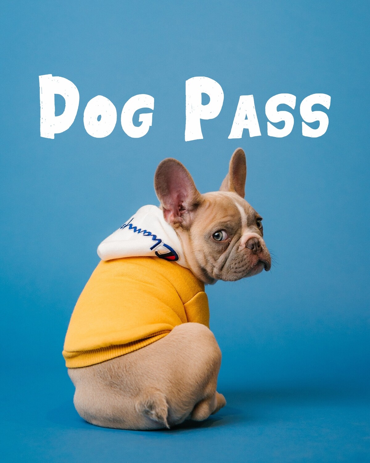 DOG PASS - Fall Threestival 2025