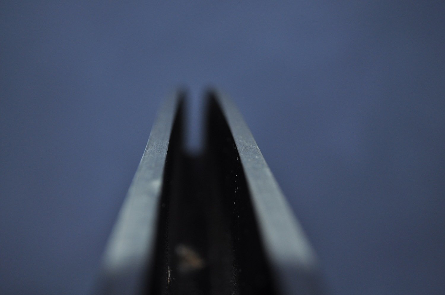 Sculpture Photo