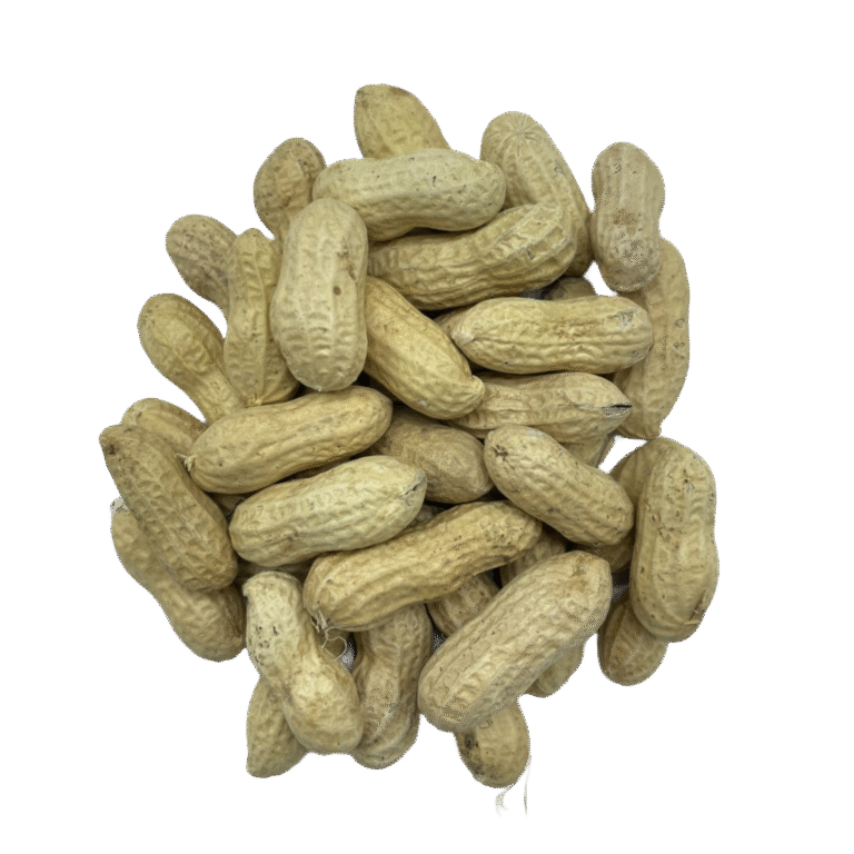MS PEANUT (SHELLED)