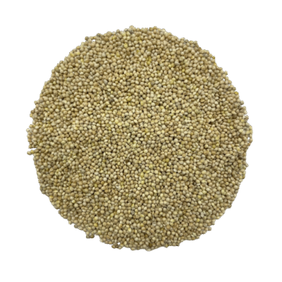 MS WHITE MILLET