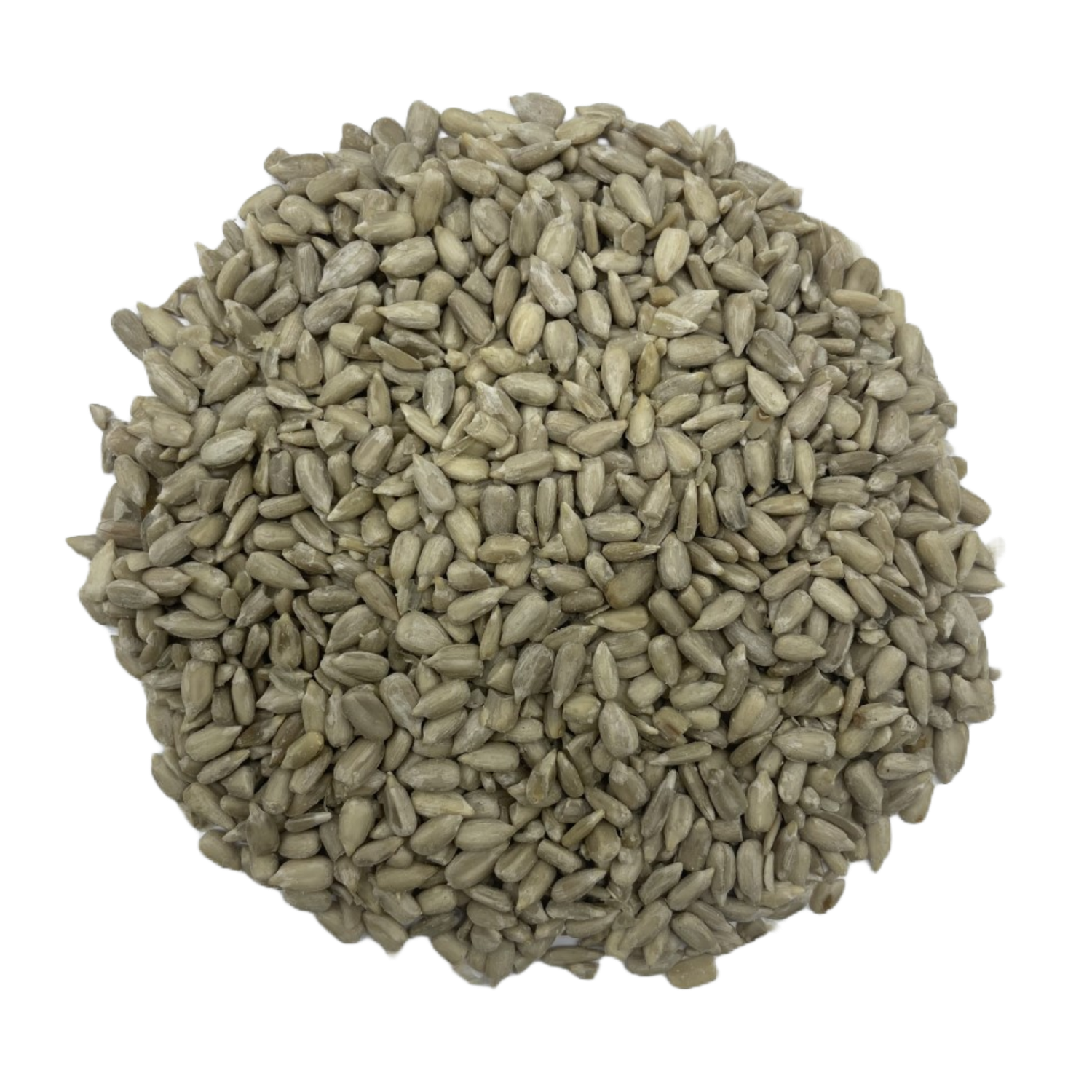 MS SUNFLOWER KERNEL