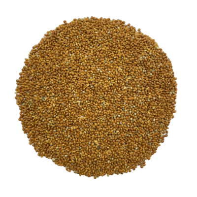 MS RED MILLET