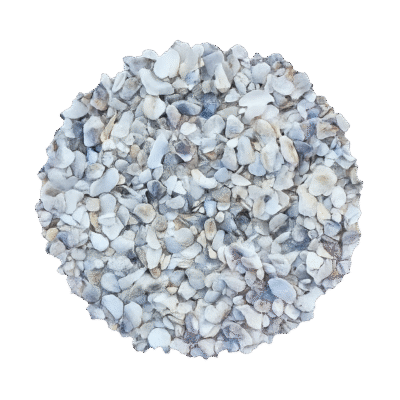 MS OYSTER SHELL
