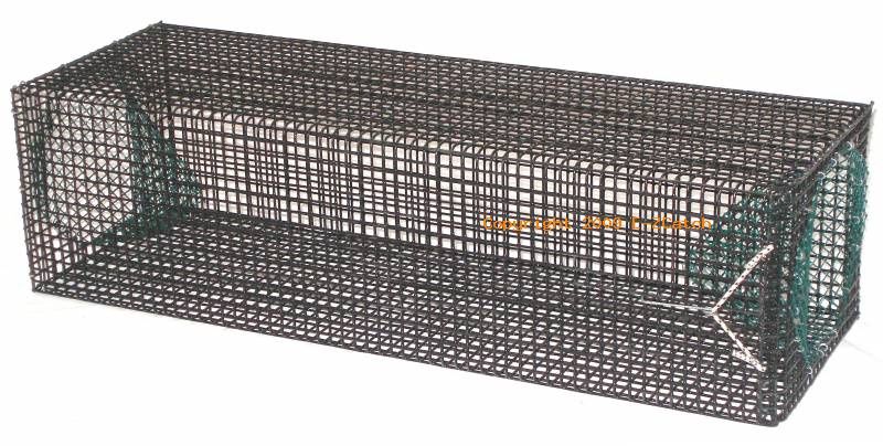 E-Z Catch Minnow Trap 2- Funnel  24"X10"X8" 1/2" Mesh