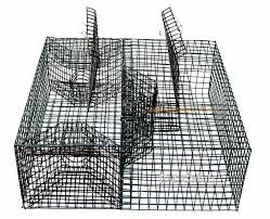 E-Z Catch Green Crab / White Crab Trap