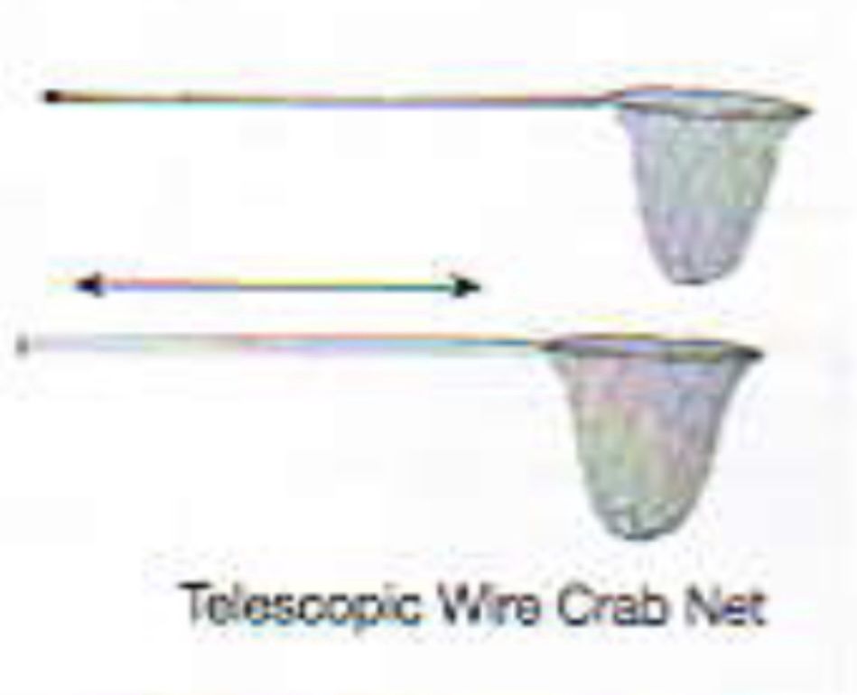 Tackle Factory Wire Mesh Crab Nets, Model: AWC36