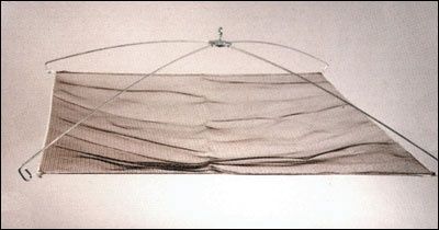 Ranger Umbrella Net, Size: 36"x36"