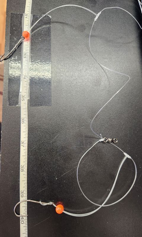 Jersey Hooker Black Sea Bass Hi/Lo Rig