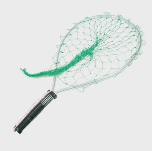 Eagle Claw Trout Net