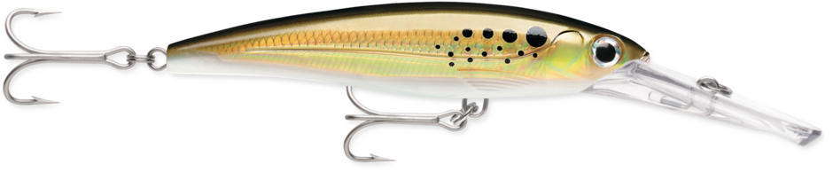 Rapala X-Rap Magnum Divebait, Color: Bunker, Size: 4 3/4" 1 1/8oz 15' depth