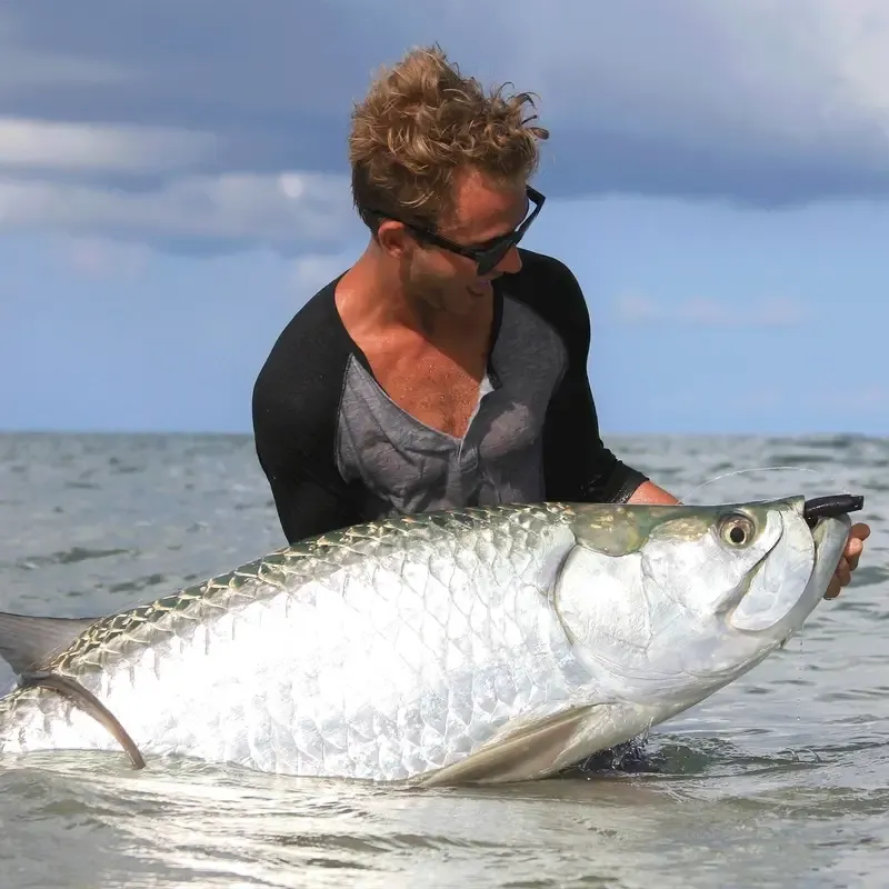 Hogy Protail Paddle Swimbait