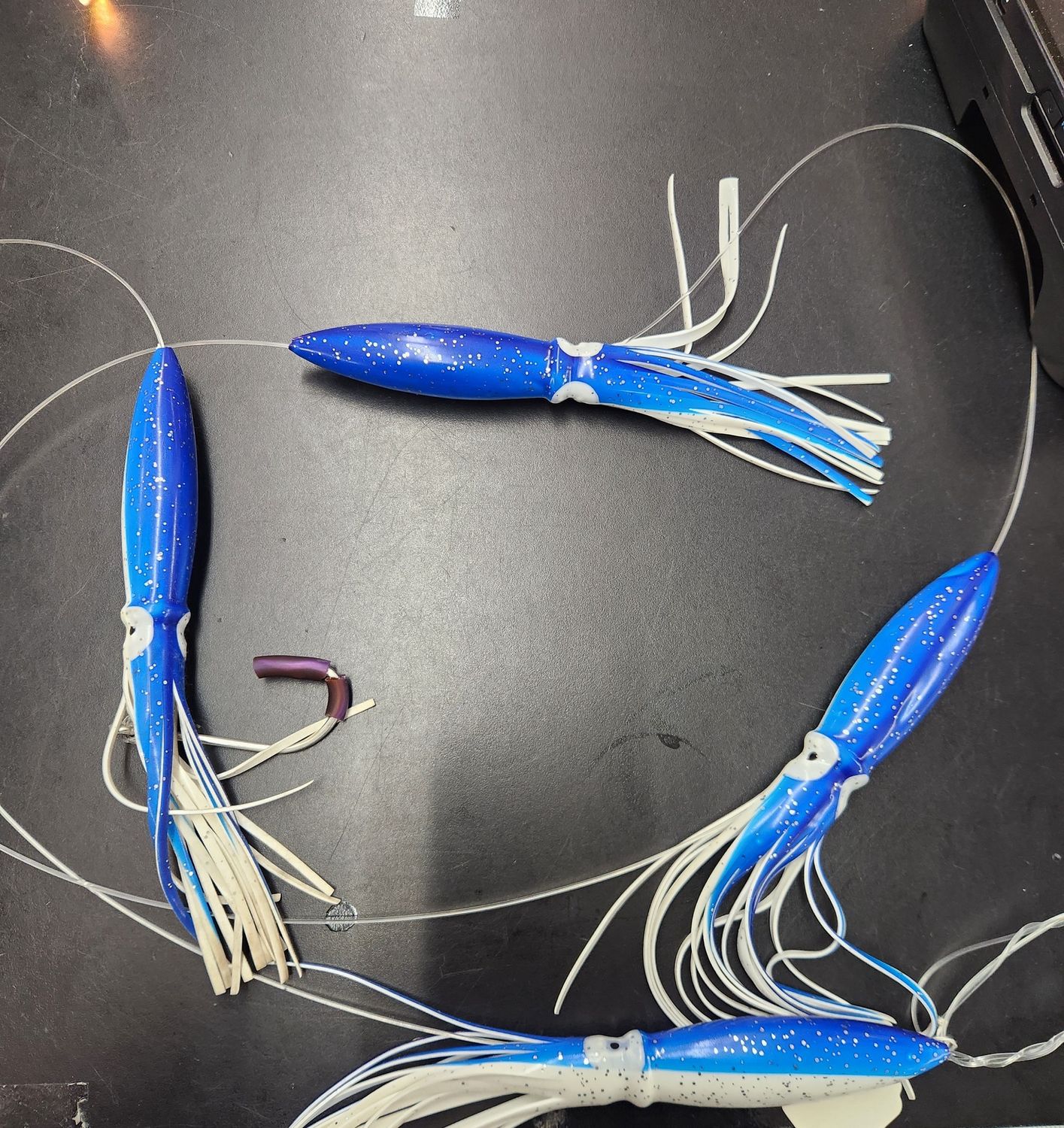 Jersey Hooker 9" Shell Squid Daisy Chain, Color: Blue White