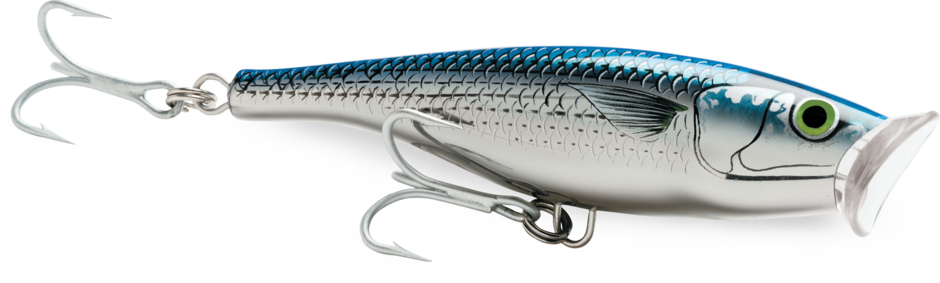 Rapala Saltwater Skitter Pop 4 3/4", Color: Mullet