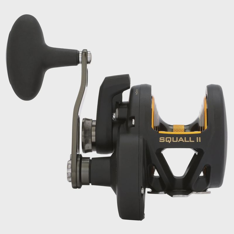Penn Squall II Star Drag Conventional Reel