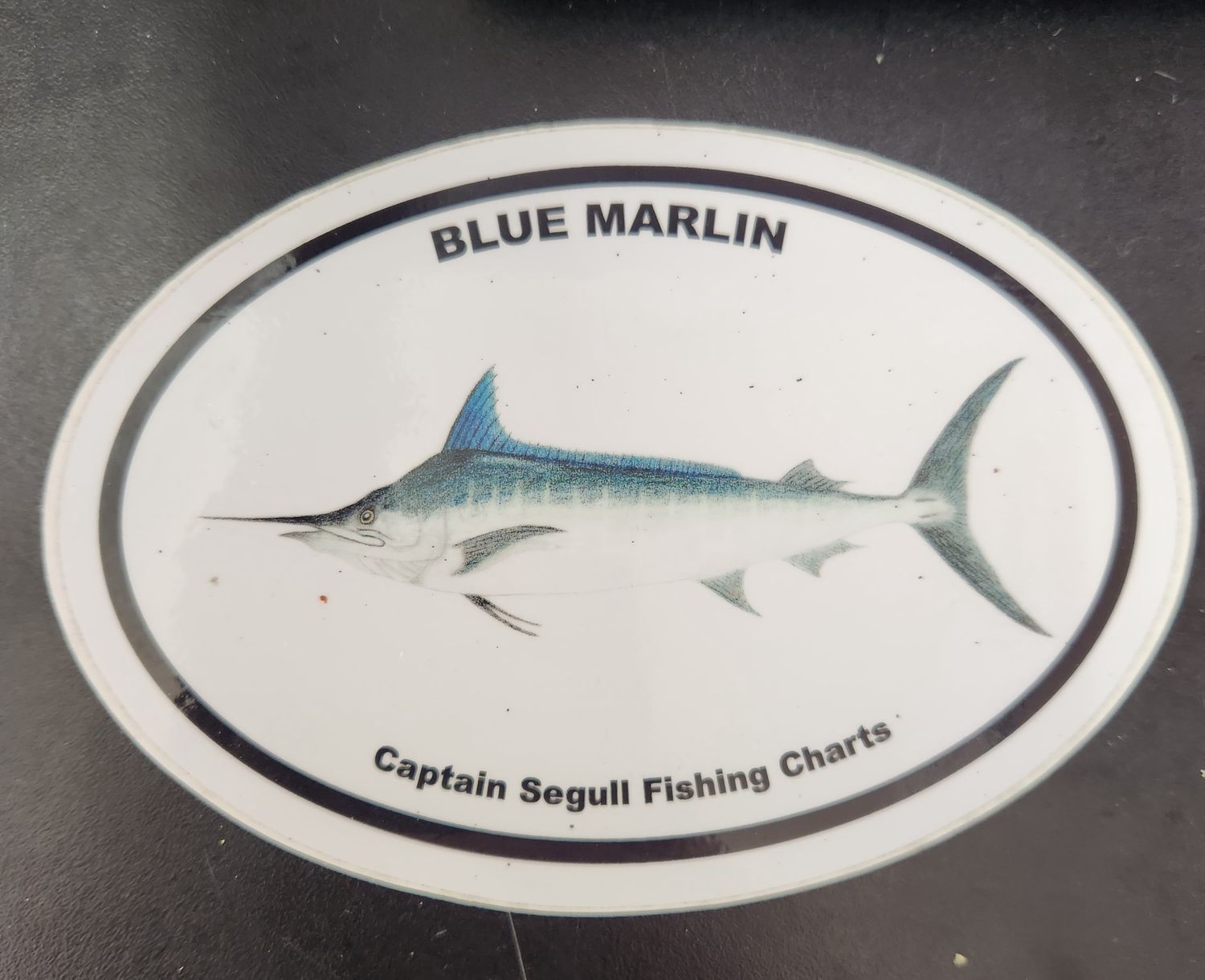 Captain Segull's Fish Stickers, Style: Blue Marlin