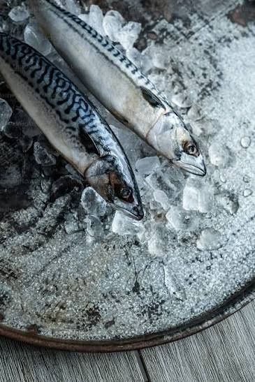 Mackerel 3pk
