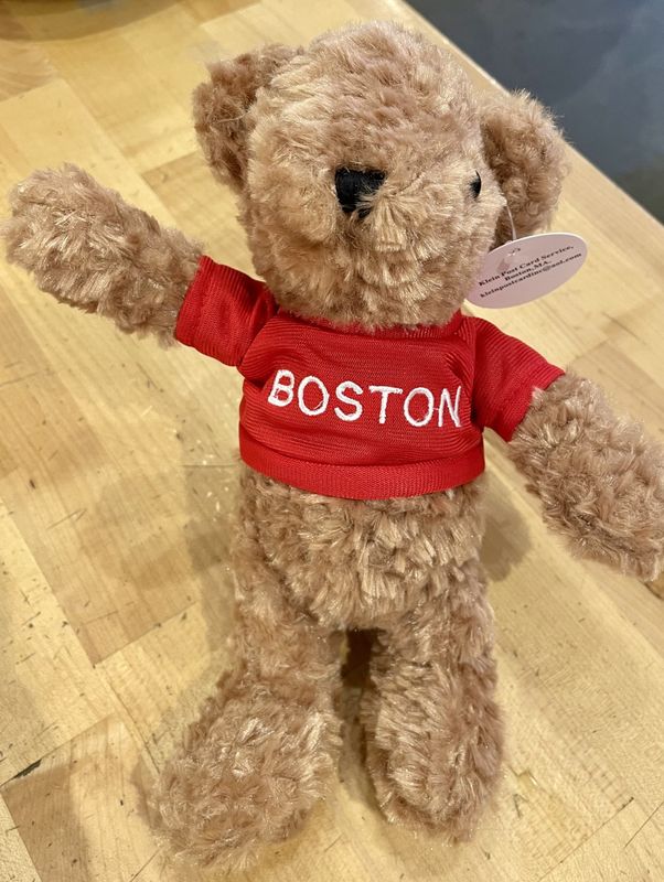 Boston Teddy Bear