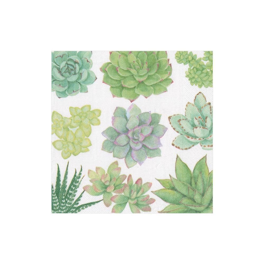 Succulents Paper Cocktail Napkins - 20 Per Package