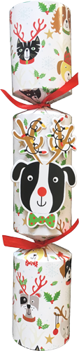 Crackers Xmas Lab Pet Favor