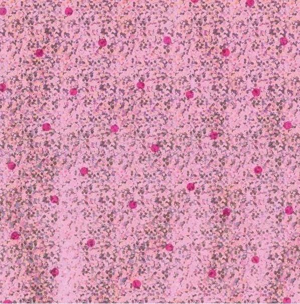 Twinkle Toes Dot Holographic Gift Wrapping Paper in Pink - 30" x 5' Roll
